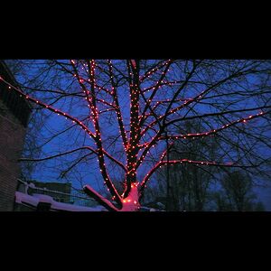Клип Лайт - Спайдер Quality Light 30 м, 300 красных LED ламп, черный ПВХ, IP44 BEAUTY LED фото 2