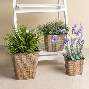 Набор декоративных кашпо Willow Twigs 13-20 см, 3 шт