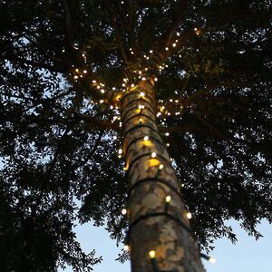 Гирлянды на дерево Клип Лайт Quality Light 100 м, 1000 теплых белых LED ламп, черный ПВХ, IP44 BEAUTY LED фото 1