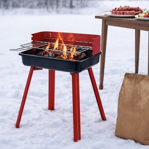 Угольный гриль Тайрон 45*36 см