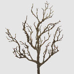 Искусственная ветка Acacia Colorato 58 см