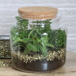 Стеклянная банка с крышкой Сентозе 14 см