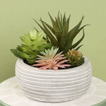 Искусственное растение в кашпо Succulent: Protegos 14 см