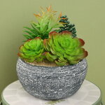 Искусственное растение в кашпо Succulent: Liberta 17 см