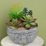 Искусственное растение в кашпо Succulent: Pacificazio 17 см