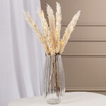 Светящаяся ветка для декора Cortaderia Creamy 70 см, теплые белые LED, на батарейках