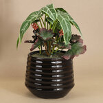 Искусственное растение в горшке Alocasia Green 25 см