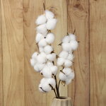 Декоративная ветка Fluffy Pompom 54 см
