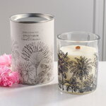 Ароматическая свеча в стакане Jungle Safari 10 см