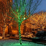 Клип Лайт - Спайдер Quality Light 60 м, 600 зеленых LED ламп, с мерцанием, прозрачный ПВХ, IP44