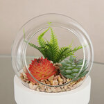 Искусственный флорариум-шар Foriolle Terra 13*12 см
